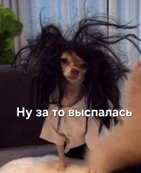   ,  ©  - 11  2025  21:12 - 2