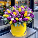 ���� ��������, ���������, 57 ��� - ��������� 3 ���� 2026 � ������ ���� ����������
