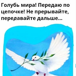 ���� �����, ������-��-����, 35 ��� - ��������� 28 ������ 2025