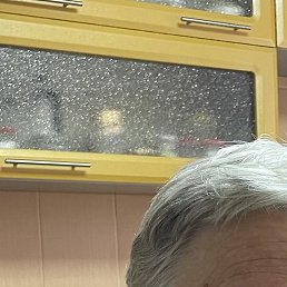 ������, �������, 48 ���