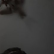 ��������, 50 ���, ��������