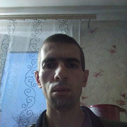 , 37, 