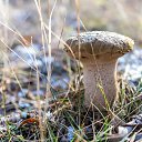 ���� �������, ���������, 50 ��� - ��������� 15 ������� 2023 � ������ ������ ��������