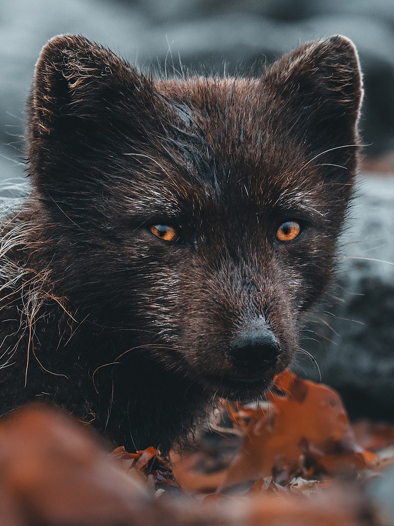     .        :     ... - 3