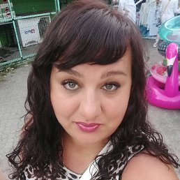 ���� �����, �����, 40 ��� - ��������� 7 ���� 2026