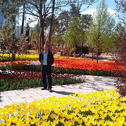 ����, ������, 55 ���