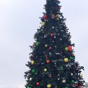 ���� �����, ����, 64 ���� - ��������� 25 ������ 2024 � ������ ���� ����������