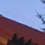 �������, 18 ���, ������