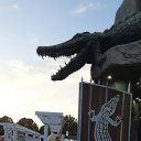 ���� �������, ��������� - ��������� 1 �������� 2024 � ������ ��������� ����. 19 -22 ������� 2024�