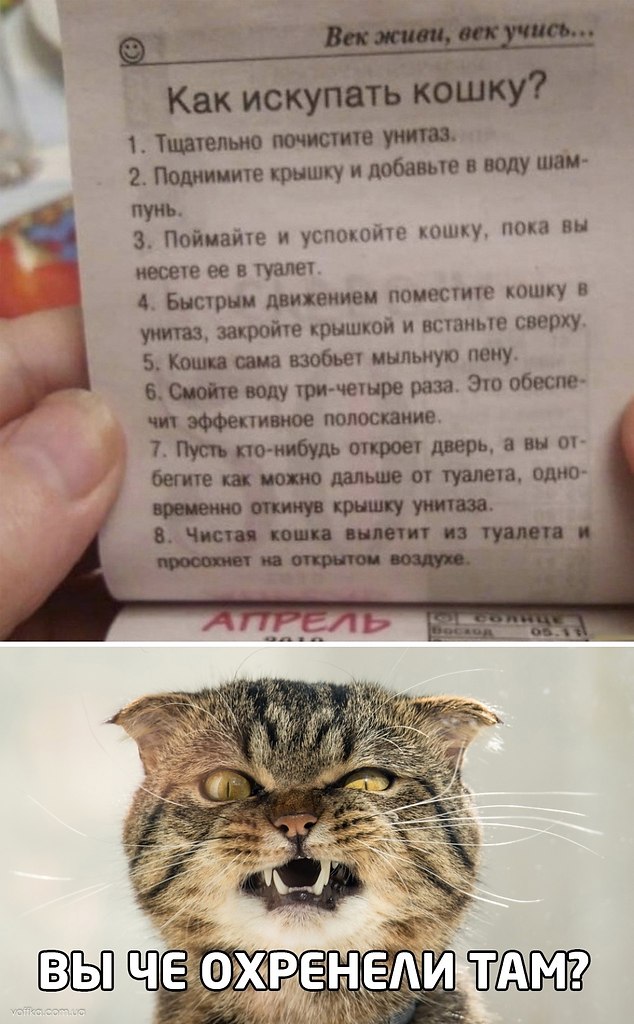��� ���� � ����� �� �� - 19 ������ 2024 � 14:46