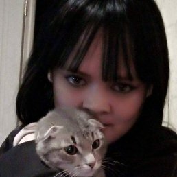 ���� �������, �����, 33 ���� - ��������� 12 ������� 2026