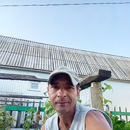 , 40, 
