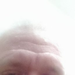 �������, 41 ���, ���������