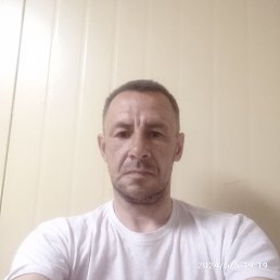 , 43 , 