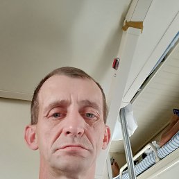 , 42, 