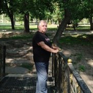 , 71 , 