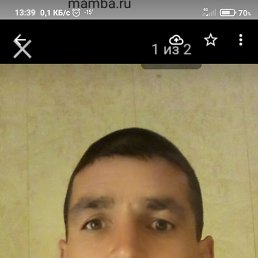 , 41, 