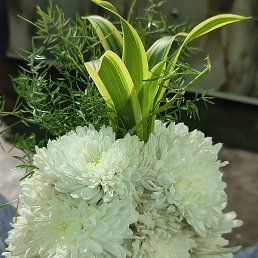 Gunda, ����, 72 ����