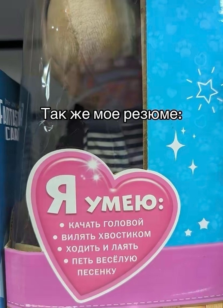 �������. - 26 ������ 2026 � 08:04 - 2