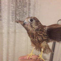 �����, �����, 47 ���