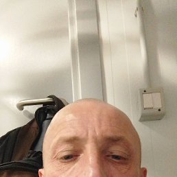 �����, 41 ���, ������