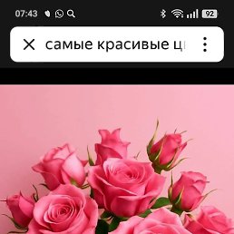 Ը���, �������, 49 ���