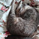 ���� ���������, ��������, 57 ��� - ��������� 18 ������� 2023 � ������ ���� ����������