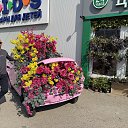 ���� Ylian, �����, 50 ��� - ��������� 8 ���� 2025 � ������ ���� ����������