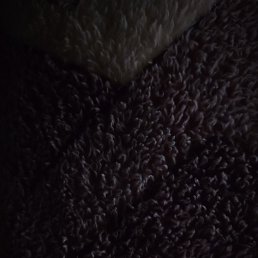 ���� ������, �������, 33 ���� - ��������� 24 ������� 2023