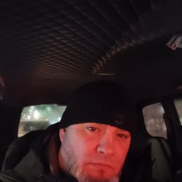 ������, ����� �������, 41 ���