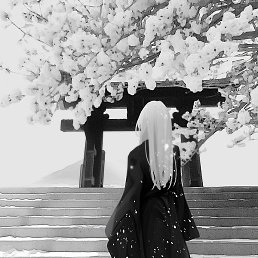 Aliveel, ��������, 18 ���