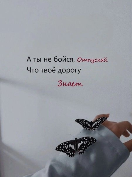 ������������ �� �������... - 24 ������� 2025 � 09:58