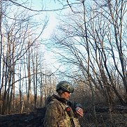 ��������, 38 ���, ����