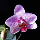 ���� �������, ������ - ��������� 14 ������� 2025 � ������ ���� �������