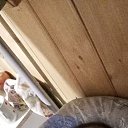 ���� ���� �����������, ������, 49 ��� - ��������� 14 ��� 2025 � ������ ���� ����������