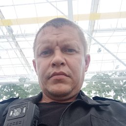 , 39, 