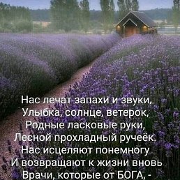 ���������, ���������