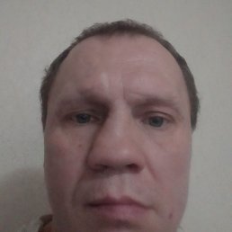 ������, ����, 43 ����