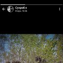 ���� ����, ������, 37 ��� - ��������� 1 ��� 2025 � ������ ���� ����������