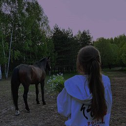 ���� ����, ������, 25 ��� - ��������� 13 ������ 2024