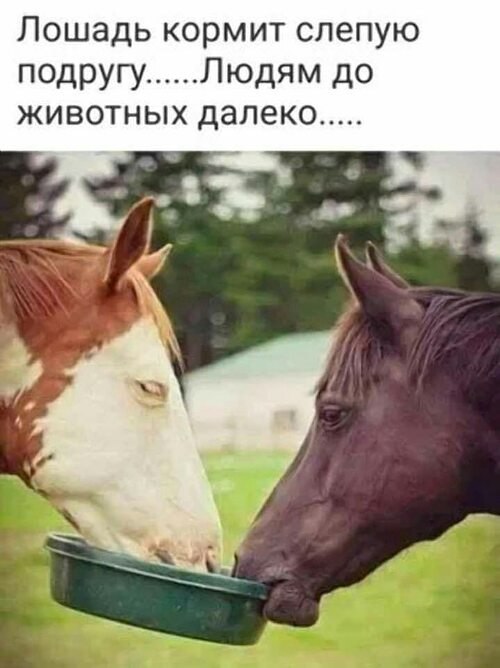   ! - 21  2025  14:39