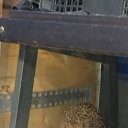���� ����, �������, 60 ��� - ��������� 18 ��� 2025 � ������ ���� ����������