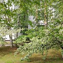 ���� �������, ������� - ��������� 18 ���� 2025 � ������ ���� ����������