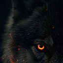  Moonlight,  -  9  2025    