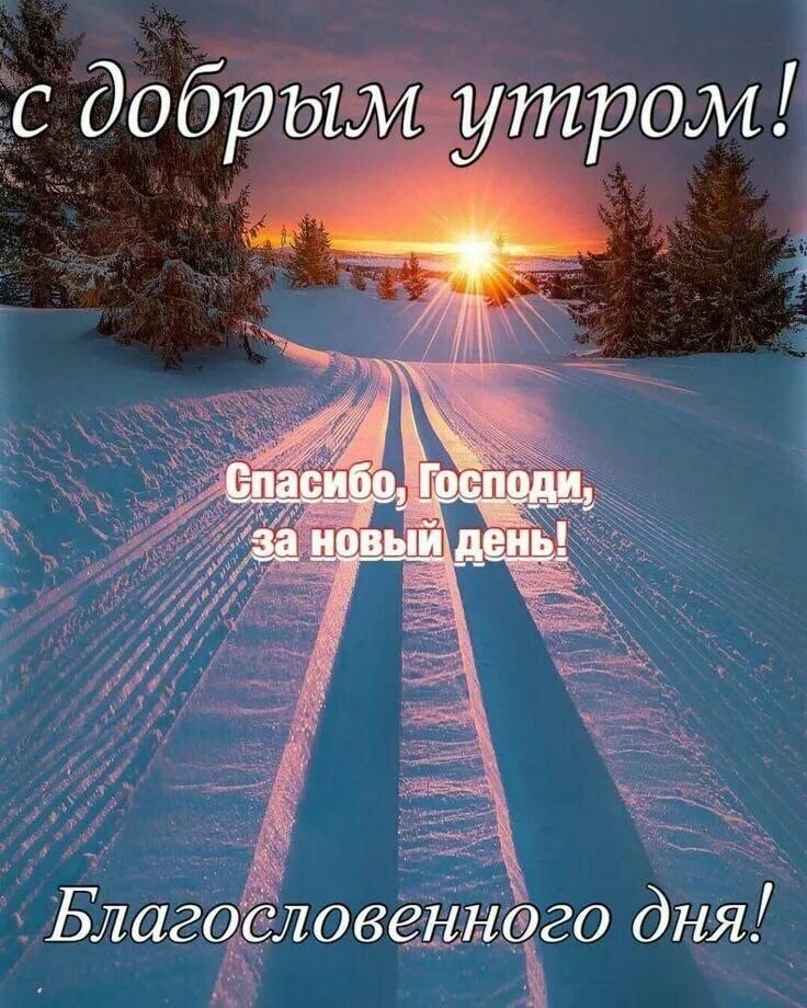 ***Victoria Viktorovna*** - 1 февраля 2024 в 04:12