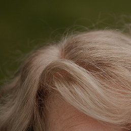 , , 55 