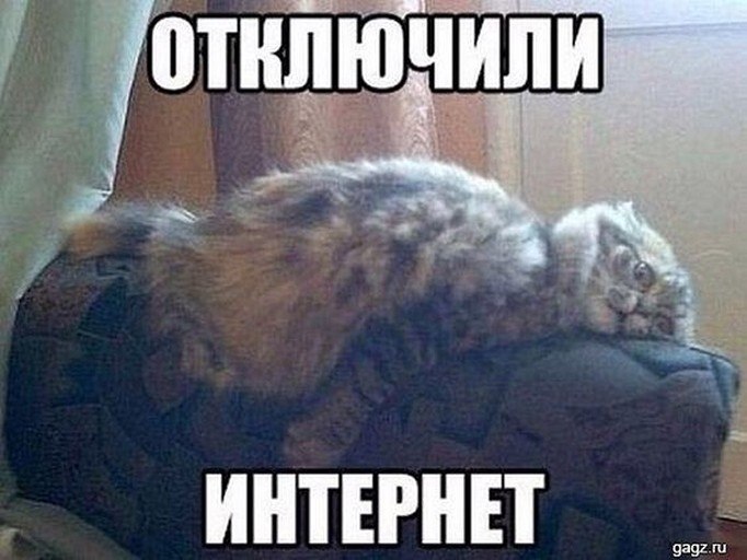 �����? ��, �� �������! - 28 ������ 2025 � 22:51