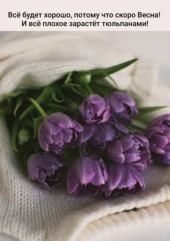 �������� ������� - 25 ������� 2026 � 11:33