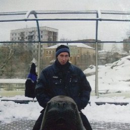 , 41, 