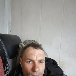 ������, 40 ���, ����